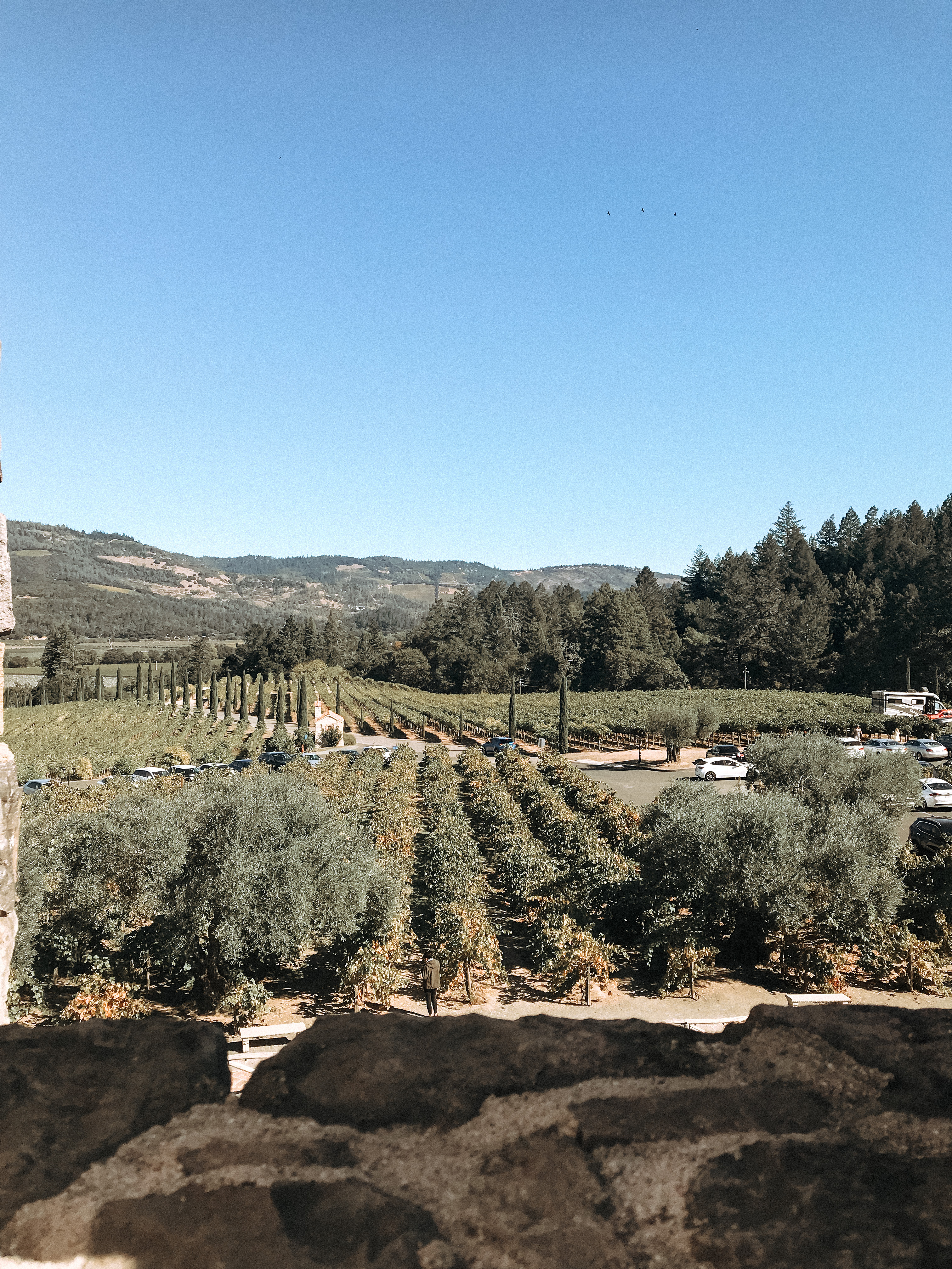 Itinerary For Napa Valley