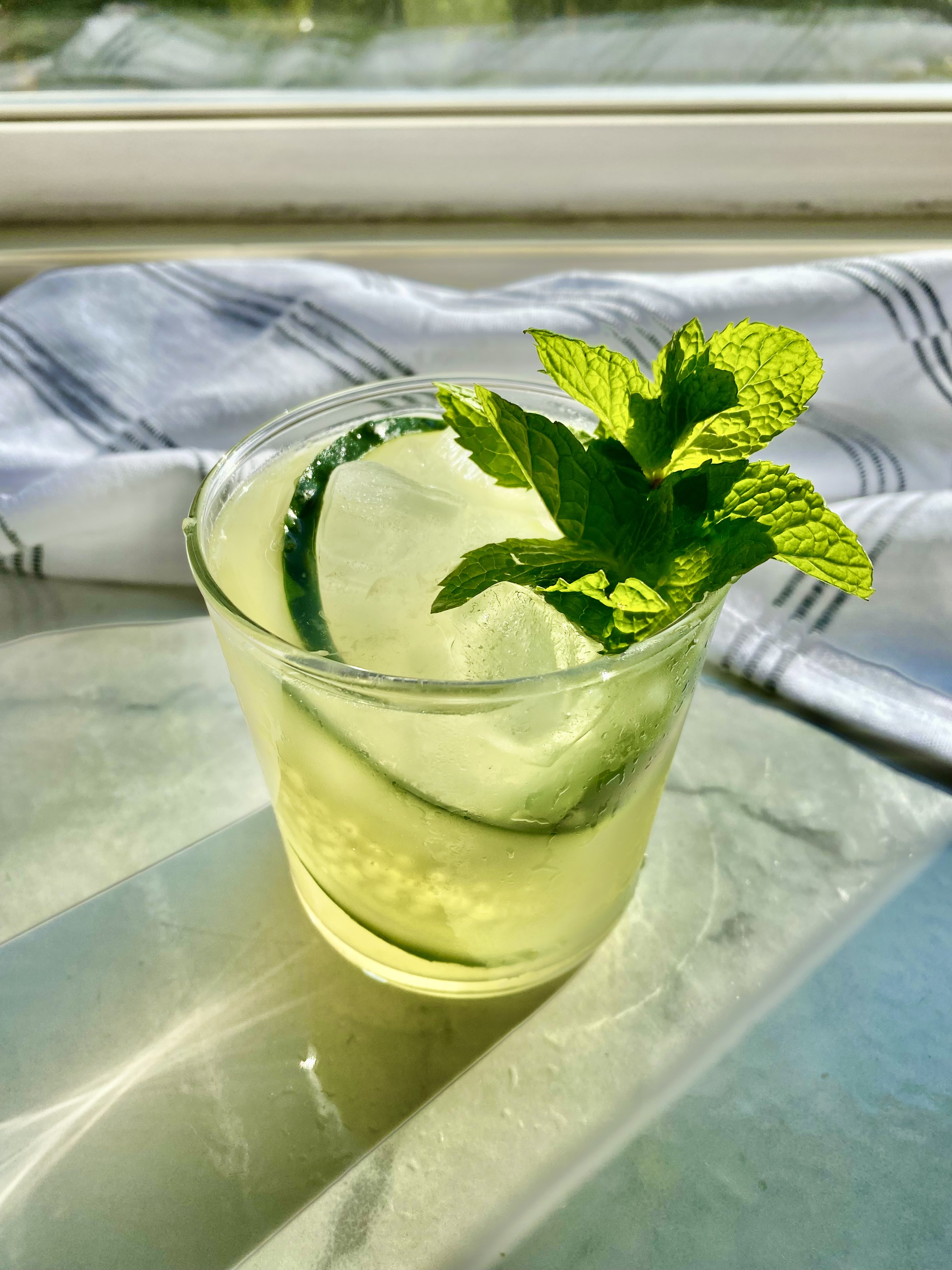 Cucumber and Mint Gin and Tonic